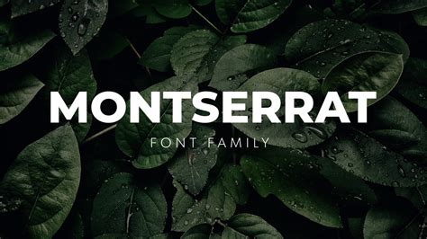 Font montserrat. Things To Know About Font montserrat. 